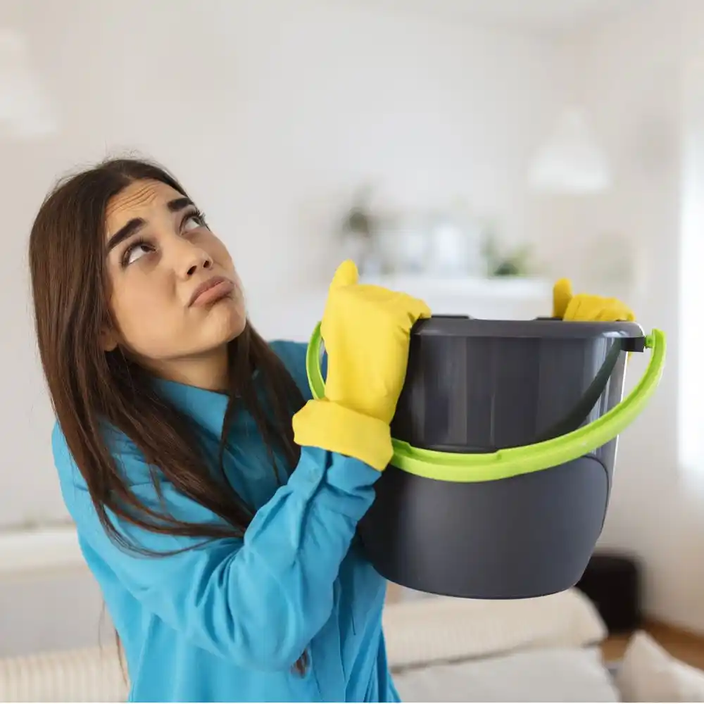 water damage restoration service Grand Meadow